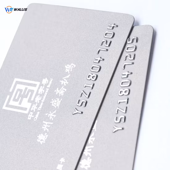 Custom Printing PETG Plastic Magnetic Stripe Loyalty/Membership/VIP PVC Card with Embossed Serial Number